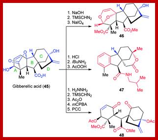 Image result for gibberellic acid chemical structure