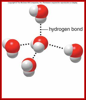 f2-09b_the_structure_of_c.jpg