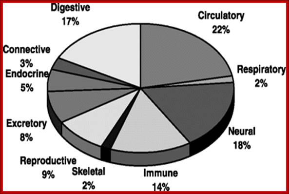 http://physiolgenomics.physiology.org/content/26/2/158/F1.medium.gif