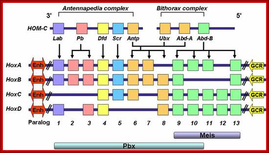 http://www.bioscience.org/2008/v13/af/3006/fig1.jpg