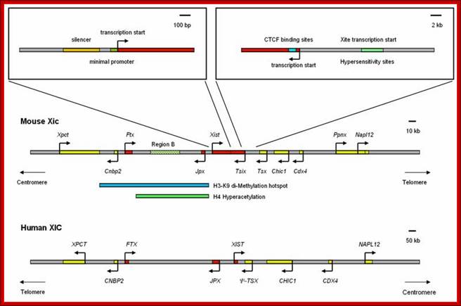 http://www.bioscience.org/2006/v11/af/1842/fig1.jpg