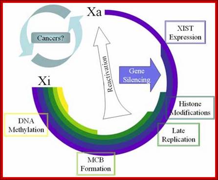 http://www.bioscience.org/2006/v11/af/1842/fig2.jpg