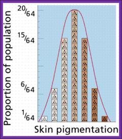 Description: http://www.emc.maricopa.edu/faculty/farabee/biobk/skin.gif