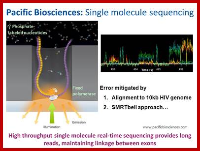 Image result for single-molecule real-time sequencing (pacific biosciences)