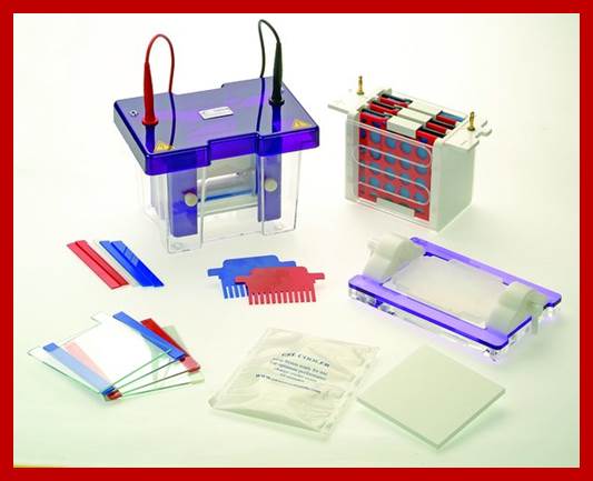 Image result for Advanced electrophoresis systems