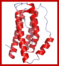 Image result for A typical Interleukin-protein