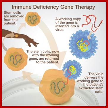 Immune Deficiency