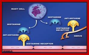 Antihistamine.jpg