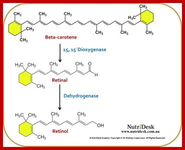 Image result for Structure and biochemical action of Vitamin-A in the body