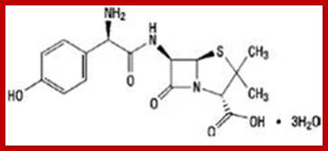 http://www.antibiotics-info.org/images/antibiotic-drugs_clip_image002.jpg