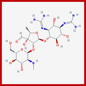 streptomycin.png