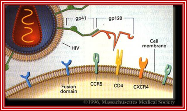 aids1.JPG (70905 bytes)