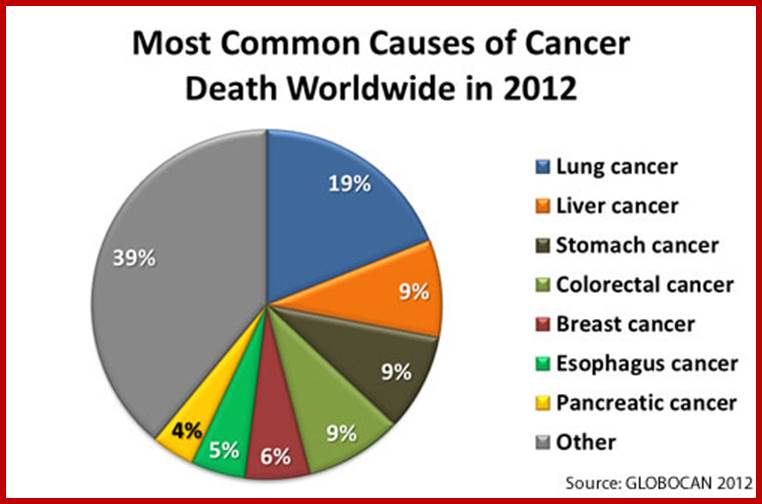 Pie chart showing the most common causes of cancer death worldwide in 2012