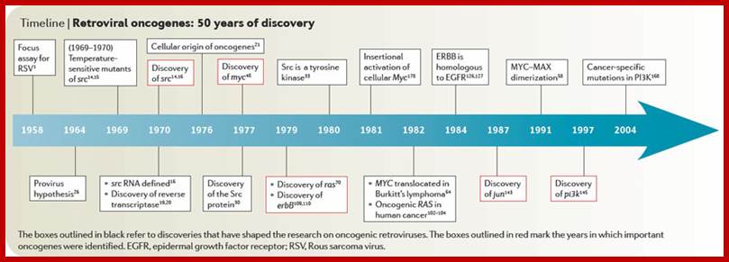 Retroviral oncogenes: a historical primer