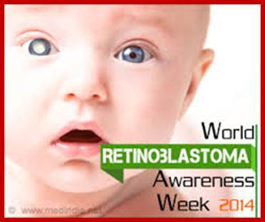 Image result for retinoblastoma mechanism