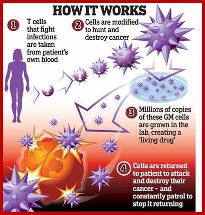 Description: The extraordinary results are unprecedented in medicine, the worlds biggest science conference heard