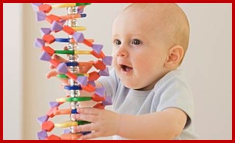 Description: Baby playing with DNA model