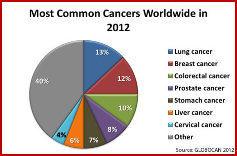 Description: Pie chart showing the most common cancers worldwide in 2012