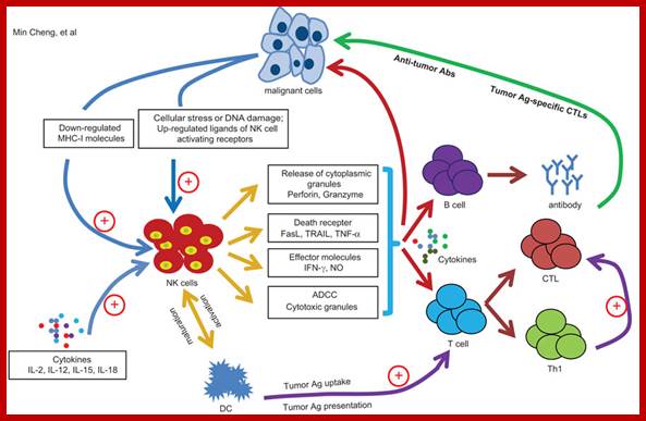 Description: Unfortunately we are unable to provide accessible alternative text for this. If you require assistance to access this image, please contact help@nature.com or the author