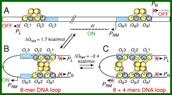 Description: Fig. 1.