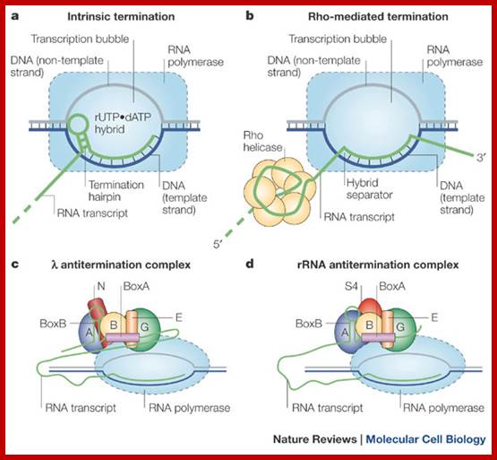 Thinking quantitatively about transcriptional regulation