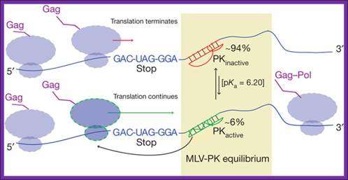 Model for equilibrium-based mechanism.