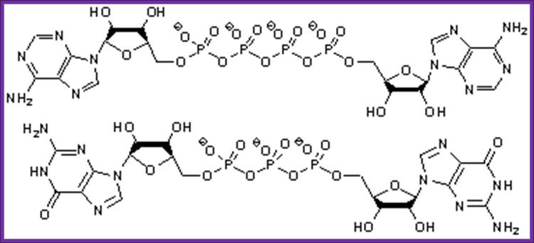 Figure 1: ApnA