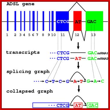 sp_graph_presentation