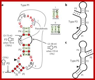 Image result for chemistry of self cleavage