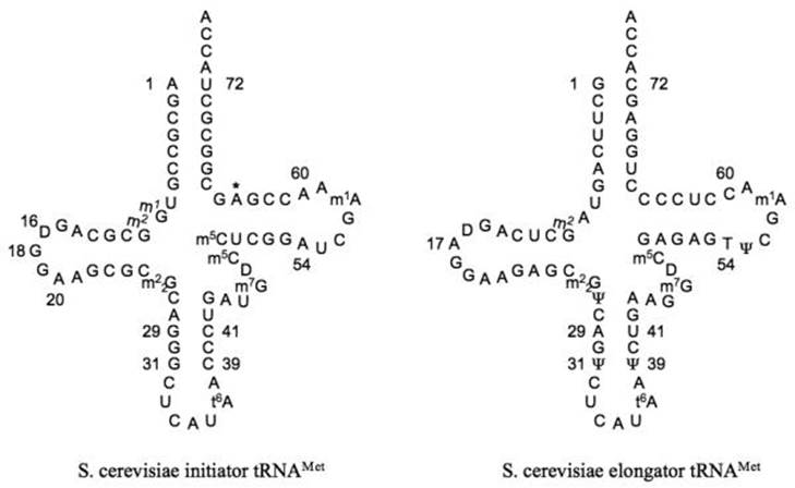 An external file that holds a picture, illustration, etc.
Object name is nihms-161803-f0001.jpg Object name is nihms-161803-f0001.jpg