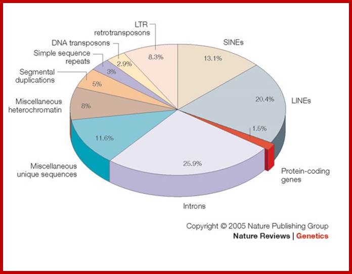 Synergy between sequence and size in Large-scale genomics