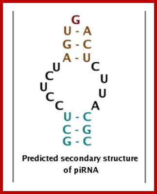 structure