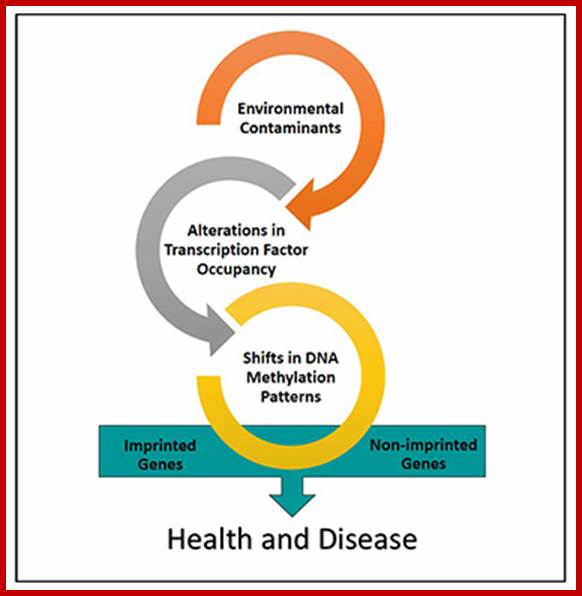 http://www.mdpi.com/2073-4425/5/2/477/ag