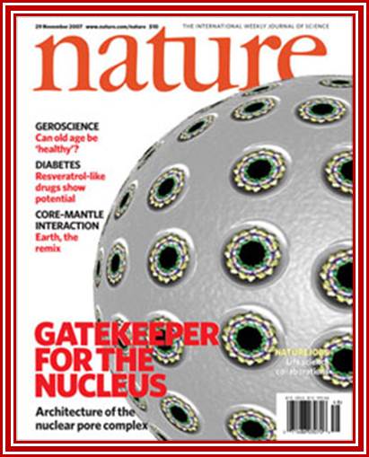 Photo of Nature magazine cover