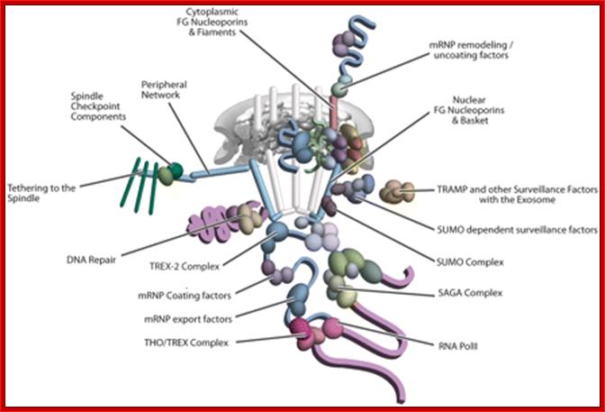 Figure 6 