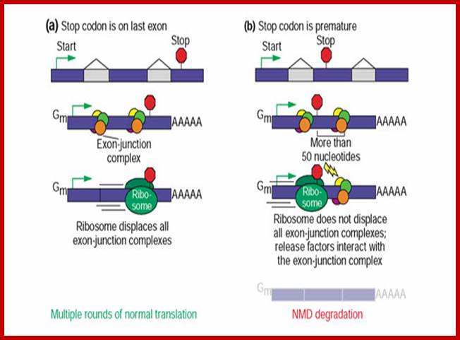 http://genomebiology.com/content/figures/gb-2004-5-2-r8-1.jpg