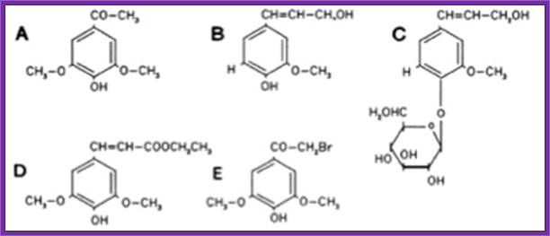 Figure 7: Compounds with a structural similarity, which induce virA Winans, 1992