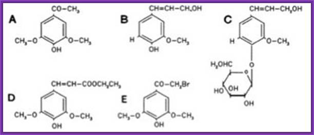 Figure 7: Compounds with a structural similarity, which induce virA Winans, 1992