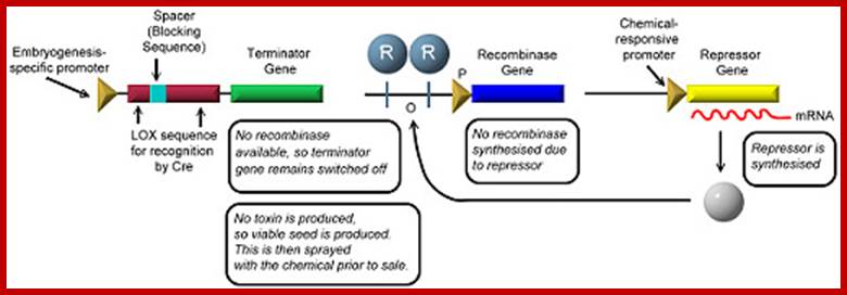 Figure 1: A schematic diagram of the Technology Protection System.