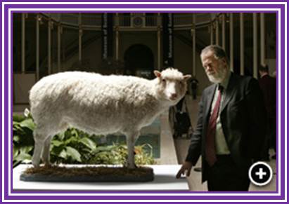 Dolly at the National Museum of Scotland