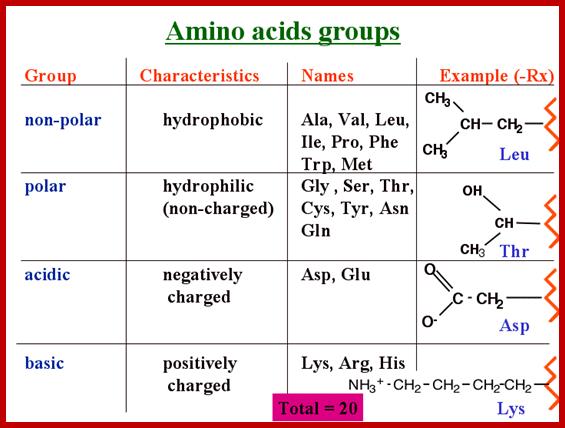 AminoacidGroups