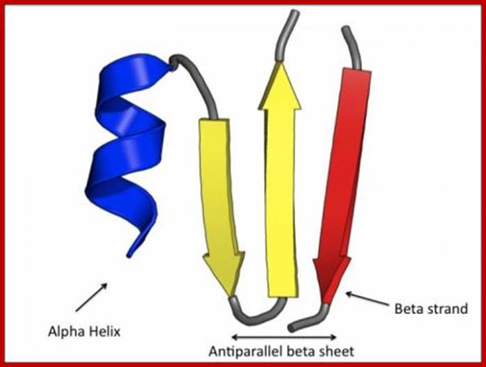 slide1_5-457x343