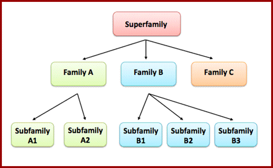 figure2