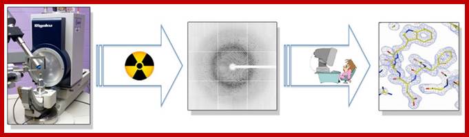 Figure2_0