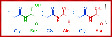 300px-Silk_fibroin_primary_structure