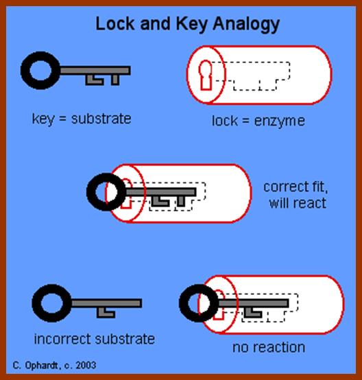 571lockkey