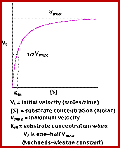 Michaelis_Menten