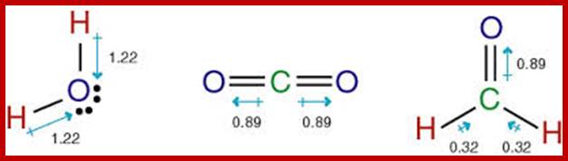 Image result for (CH2O)n general structures