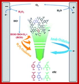 Graphical abstract: Lignin depolymerization via an integrated approach of anode oxidation and electro-generated H2O2 oxidation