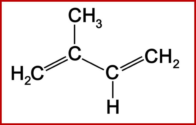 Isoprene